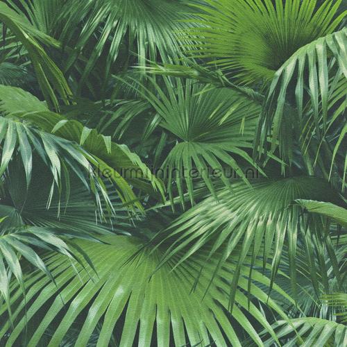 Groene Planten Behang Crispy Paper Rasch Kleurmijninterieur Nl Groene Planten Behang Crispy Paper Rasch Kleurmijninterieur Nl