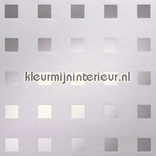 plekfollie raamfolie