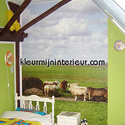 fotoprodukte foto information (nl)