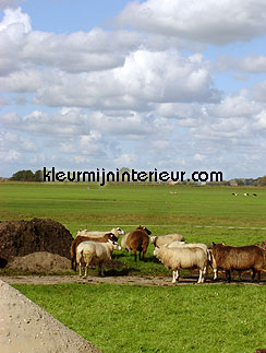 fotobehang eigen foto