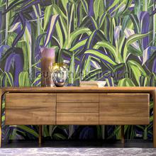 Arte Expedition wallcovering