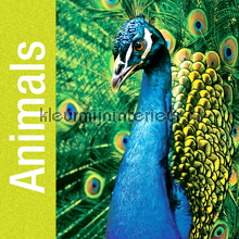 Fotomurais Animals