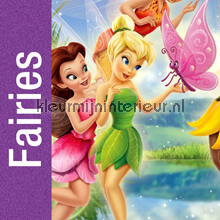 Kleurmijninterieur Disney Fairies fotomurales