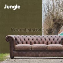 Wallcovering Jungle