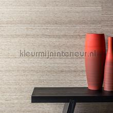 DWC Musa wallcovering