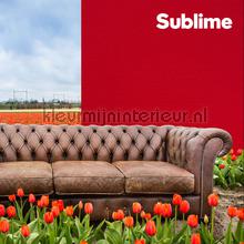 DWC Sublime wallcovering