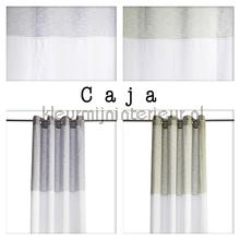 Homing Caja vorhang