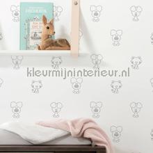 Kek amsterdam Woezel en Pip fottobehaang collectie