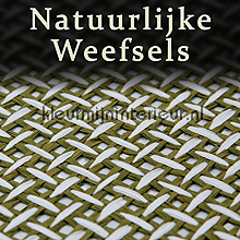 Tapet Natuurlijke Weefsels