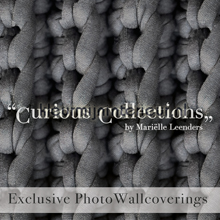 photomural Curious Collections