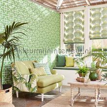 Sanderson Glasshouse wallcovering