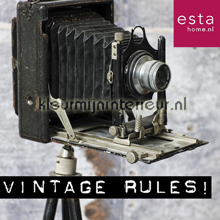 carta da parati Vintage Rules