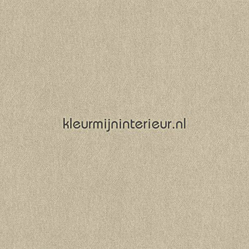 Avoir Images Taupe Uni Vlies 46888 Papier Peint Bn Wallcoverings le plus cool salutations