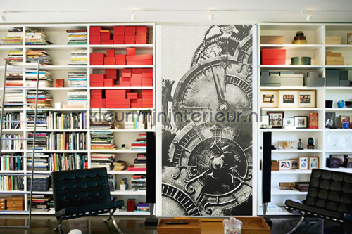 Clockwork 15891 Papier Peint Alta Gamma Hookedonwalls