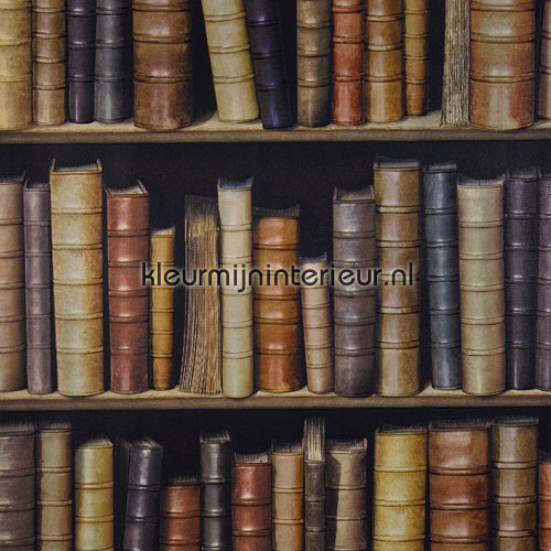 Boekenkast behang 6864-1 behang Collected Dutch Wallcoverings ... Boekenkast behang 6864-1 behang Collected Dutch Wallcoverings ...