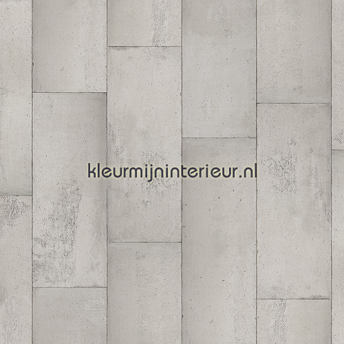 naar voren gebracht microscopisch Scully Concrete Piet Boon CON-01 behang Concrete Piet Boon