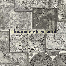 Wereldkaart antique papier peint AS Creation Dekora Natur 6 6643-27