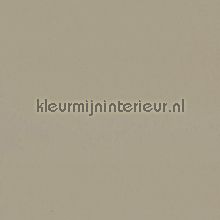Uni - Midden warm-grijs behaang Dutch Wallcoverings Inspiration 67760672