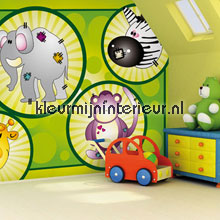 Zoo fun papel de parede Noordwand Little Ones 417040