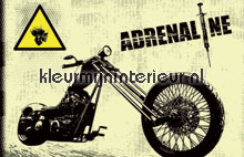 Adrenaline fotobehang Noordwand kinderkamer jongens 