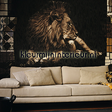 King fotowand leeuw behang VP-659-01 Memoires Elitis