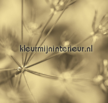 Out of focus fotomurais BN Wallcoverings No Limits 30222