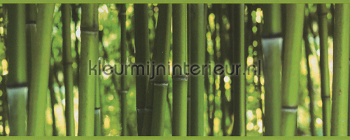 Bamboo rand tapet 9036-17 Exotisk AS Creation
