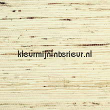 Pijlwortel wallcovering Rodeka all images 