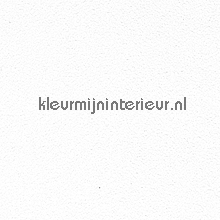 Spuitwerk effect behang wallcovering AS Creation Simply White 8841-14