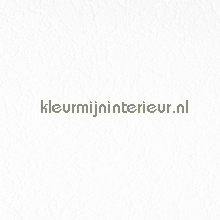 Granol wit wallcovering AS Creation Simply White 2829-10