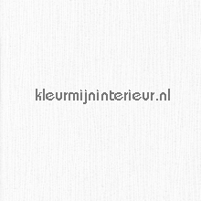 Lijn structuur vinyl wallcovering AS Creation Simply White 5412-60