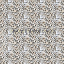 Stenenwand fotomurales Behang Expresse Wallpaper Queen ML214