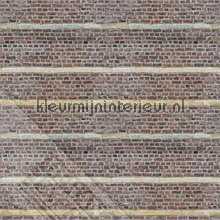 Stenen muur fotomurales Behang Expresse Wallpaper Queen ML241