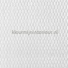 Fine ruit acoustic carta da parati Kleurmijninterieur veloute Flock 