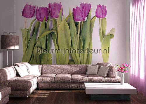 Paarse tulpen fotomurales FTS 0065 AG Design