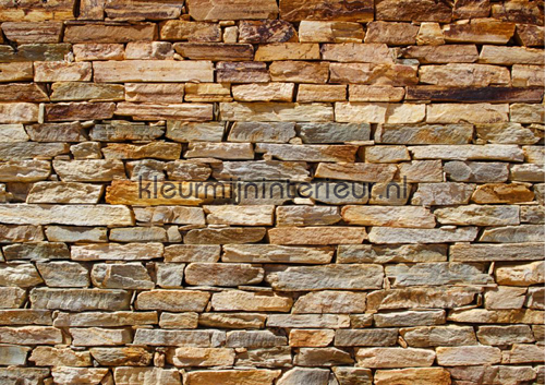 Stenen muur fotobehang FTS 1319 Stenen - Beton AG Design