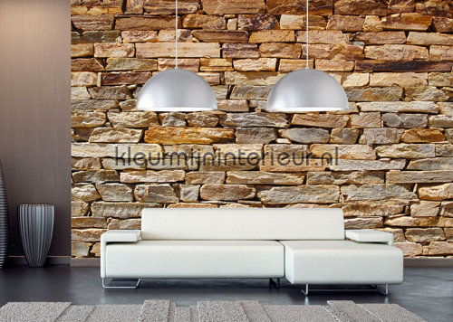 Stenen muur fotobehang FTS 1319 AG Design