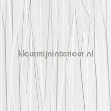 Overschilderbaar behang Folded paper Anaglypta Anaglypta RD80028