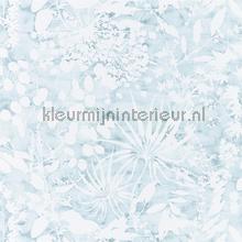 Coralline Ocean tapeten Harlequin Anthozoa 111637