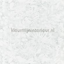 Coralline Mineral tapeten Harlequin Anthozoa 111639