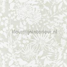 Coralline Stone tapeten Harlequin Anthozoa 111640