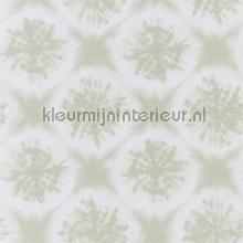 Nihan Sand tapeten Harlequin Anthozoa 111644