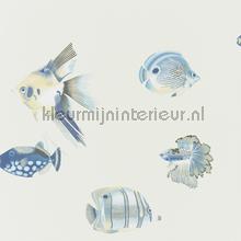 Kamanu Indigo Pebble tapeten Harlequin weltraum 