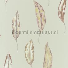 Kinina Mandarin Fig tapeten Harlequin Anthozoa 111657