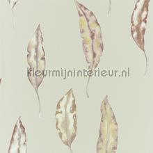 Kinina Mandarin Fig behang Harlequin Anthozoa 111657