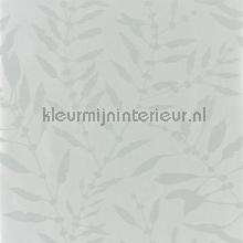 Chaconia Shimmer Stone tapeten Harlequin Anthozoa 111658
