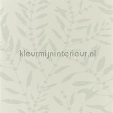Chaconia Shimmer Sand tapeten Harlequin Anthozoa 111659