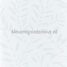 Chaconia Shimmer Blush tapeten Harlequin Anthozoa 111661
