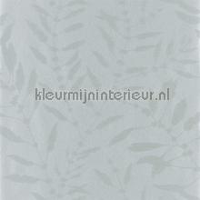Chaconia Shimmer Slate tapeten Harlequin Anthozoa 111662