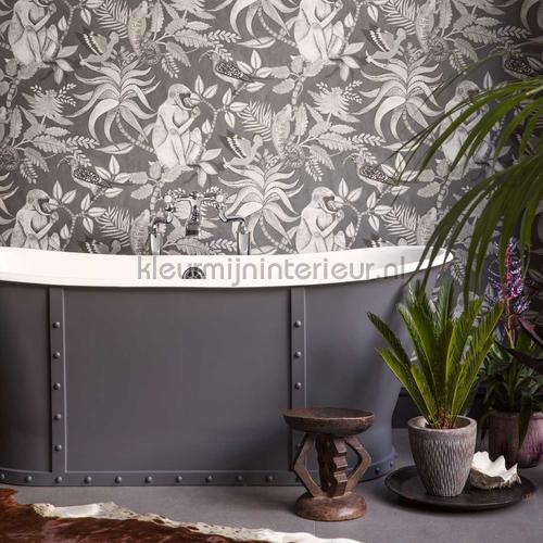 Avoir Images Savuti 109 1002 Papier Peint Ardmore Cole And Son actualisé salutations